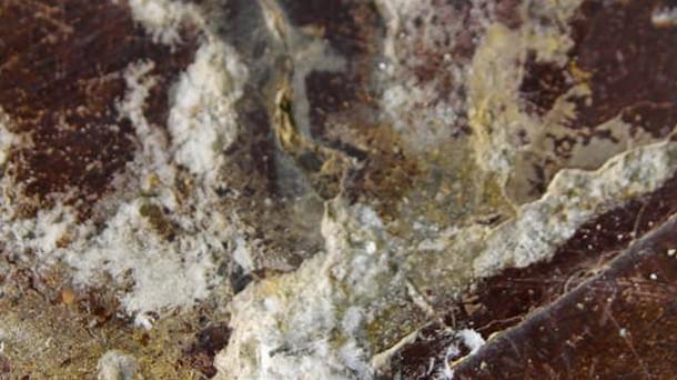 Efflorescence on stained